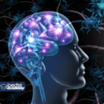 Psicologia